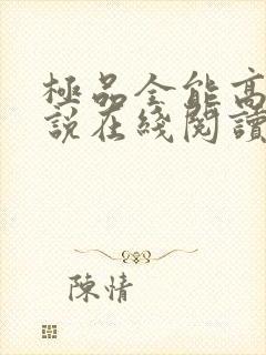 极品全能高手小说在线阅读