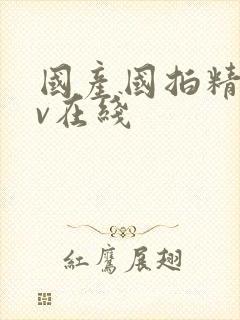 国产国拍精品av在线