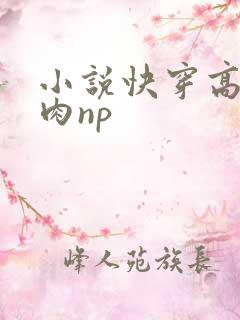 小说快穿高h纯肉np