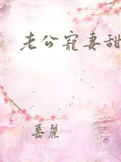 老公宠妻甜蜜蜜
