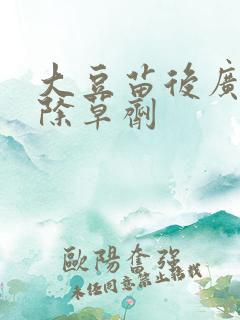 大豆苗后广灭灵除草剂