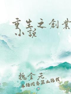重生之创业时代 小说