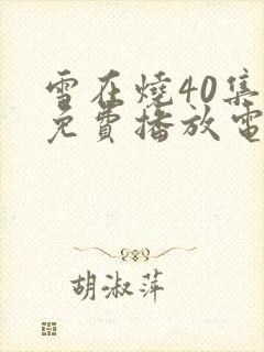 雪在烧40集全免费播放电视剧