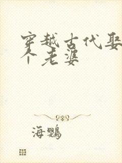 穿越古代娶十二个老婆