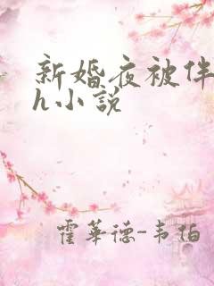 新婚夜被伴郎强h小说