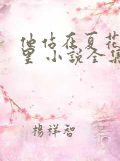 他站在夏花绚烂里 小说全集txt