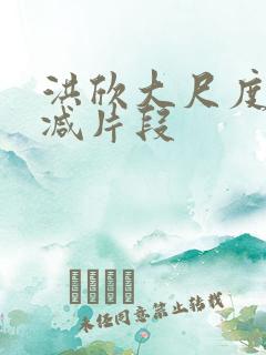 洪欣大尺度未删减片段