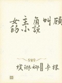 女主角叫顾清欢的小说