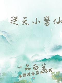 逆天小医仙陈平