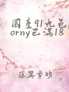 国产91九色porny已满18