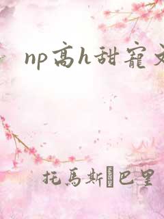 np高h甜宠文