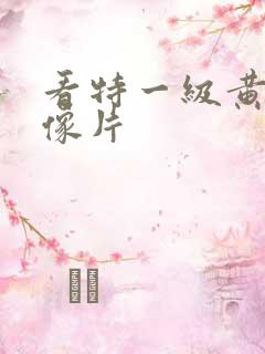 看特一级黄色录像片