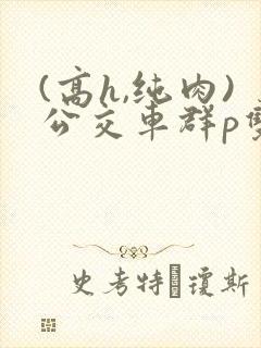 (高h,纯肉)公交车群p双性