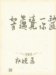 如果这一秒我没有遇见你匪我思存