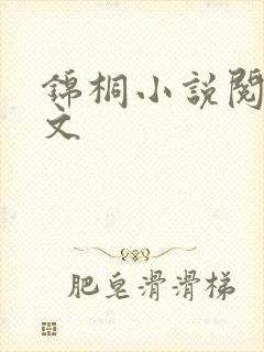 锦桐小说阅读全文