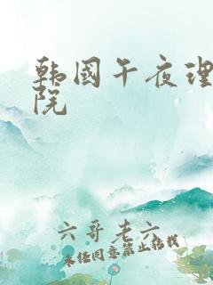 韩国午夜理论影院