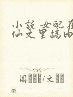 小说 女配在修仙文里搞内卷