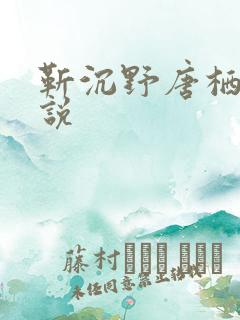 靳沉野唐栖雾小说