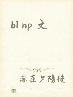 bl np 文