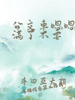 公交车嗯嗯啊啊满了不要