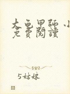 大龟甲师 小说免费阅读