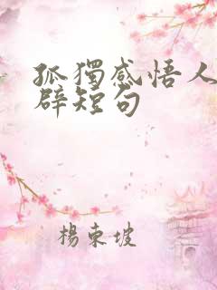 孤独感悟人生精辟短句