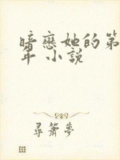 暗恋她的第十一年 小说