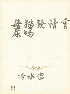 母猫发情会乱拉尿吗