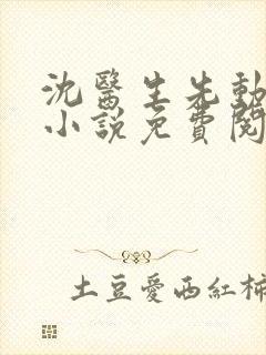 沈医生先动的心小说免费阅读