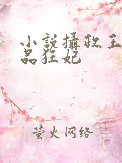 小说摄政王的医品狂妃