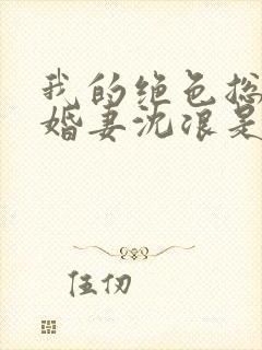 我的绝色总裁未婚妻沈浪是什么身份