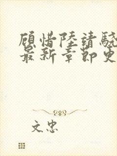 顾惜陆靖骁小说最新章节更新