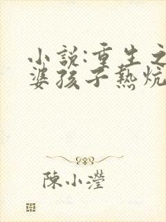 小说:重生之老婆孩子热炕头
