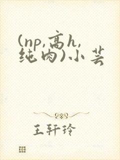(np,高h,纯肉)小芸