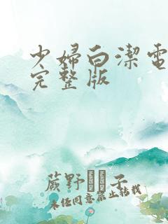 少妇白洁电子书完整版