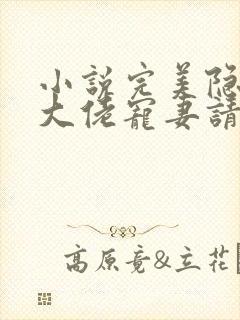 小说完美隐婚:大佬宠妻请低调
