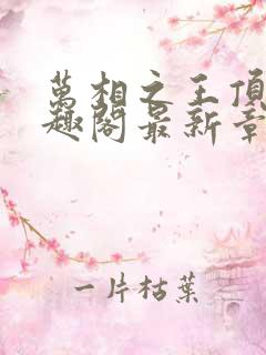 万相之王顶点笔趣阁最新章节更新