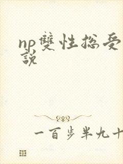 np双性总受小说