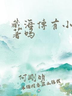 藏海传有小说原著吗