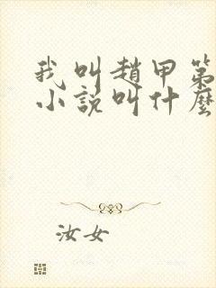 我叫赵甲第原著小说叫什么名字