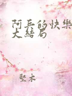 阿兵的快乐生活大结局