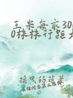 玉米每亩3000株株行距大约是多少