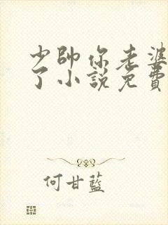 少帅你老婆又跑了小说免费听书