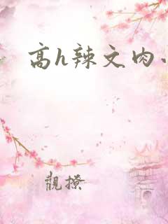 高h辣文肉小说
