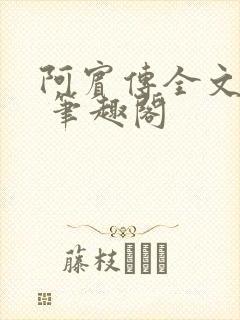 阿宾传全文阅读 笔趣阁