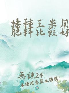 播种玉米用什么肥料比较好