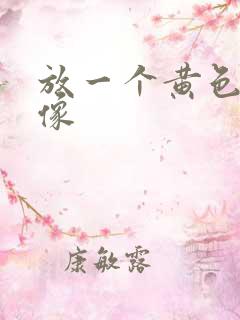 放一个黄色的录像