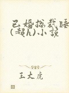 已婚总裁睡秘书(超h)小说