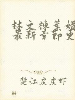 林文栋叶媚小说最新章节更新免费阅读