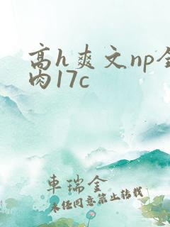 高h爽文np全肉17c